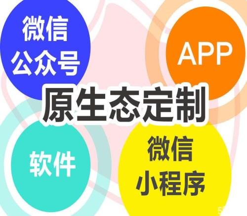 邯鄲定制軟件開發服務